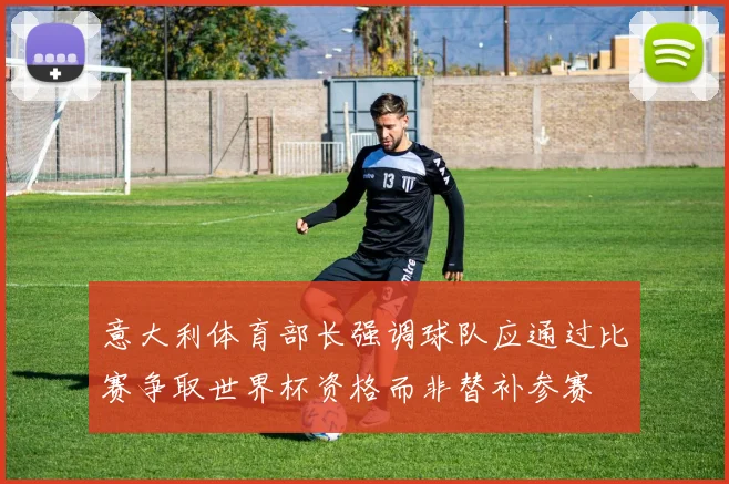 意大利体育部长强调球队应通过比赛争取世界杯资格而非替补参赛